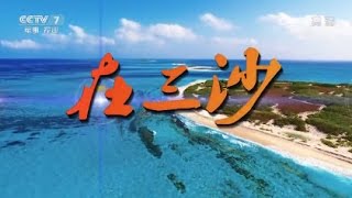 基层纪事：在三沙  【中国武警 20170101】