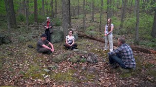 Pay Attention: How "forest bathing" clears the mind and body