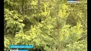 В Крыму появится Аллея России