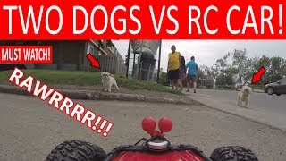 DOGS ATTACK "HENRY THE RC CAR"!
