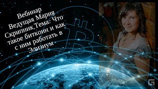 Что такое биткоин и как с ним работать в Элизиум