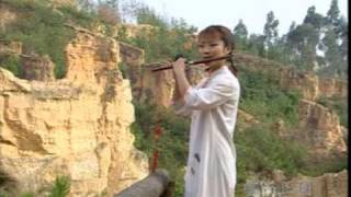 Tiếng sáo hay nhất Trung Hoa - China's best flute - 中国最好的长笛 (Disc 1)
