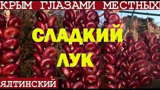 Сладкий ялтинский лук |  Крым 2017