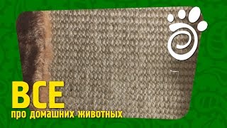 Что Такое Дряпка И Зачем Она (Часть Вторая). Все О Домашних Животных