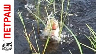 ОКУНЬ с ОГРОМНОЙ пастью!!! Ловля окуня в камыше! Мечты вдали от дома - часть 1