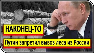 СРОЧНАЯ НОВОСТЬ: Путин запретил вывоз необработанного леса из России – новости, события и факты