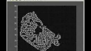 Cool Cellular Automata Step 1: Matlab simulation