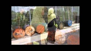 MUSAQ (USIM) 2013 FILM THRILLER + KELAKAR