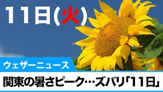 関東の暑さピーク…ズバリ「11日」