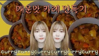 샨티 샨티 카레 카레야~ [매운맛 카레 만들기^3^]