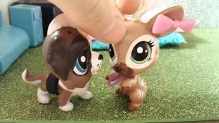 LPS сериал☆Жизнь певицы 1 сезон 5 серия (конец)