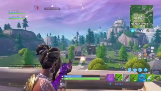 Fortnite battle royal bot on controller