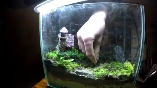 КАК СДЕЛАТЬ ВЕЧНЫЙ ТЕРРАРИУМ !!!/КАК У СЛИВКИ ШОУ //Як зробити террариум. Terrarium! gopro hero 4