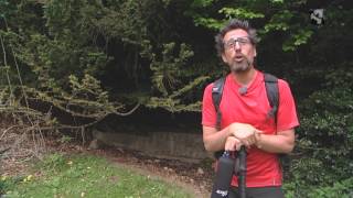 Mariano nos explica qué es un Acebo