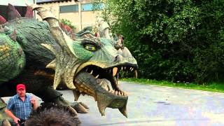 Der Drache von Furth im Wald - Was er kann