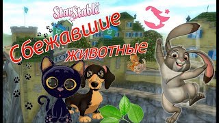 Сбежавшие животные  Форт Пинта