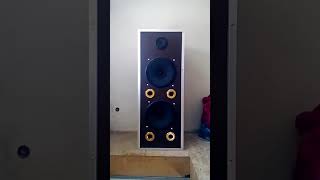 Самодельная колонка на динамиках Кинап 4а32