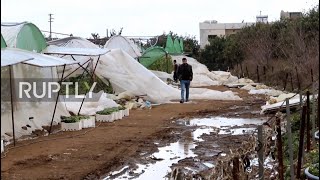 Syria: Storm destroys greenhouses in Tartous region