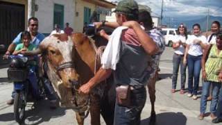 LA CHICHARRIA EN CAICEDONIA.