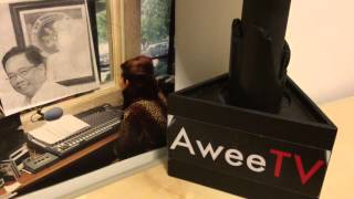 AWEE ABAYARI interviews CONSUL GENERAL LEO HERRERA -LIM. PART 5