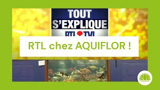 Aquiflor et ses poissons d'étang - Extrait du reportage "Tout s'explique" de RTL-TVi (01.04.2010)