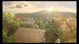 Nippon Paint Weatherbond Solareflect TVC