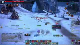 Tera pvp 42lvl Mystic and Slayer .
