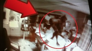 The Top 5 Best Internet Hoaxes of the 21st Century!