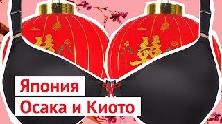 Япония: проститутки, вино, еда и велосипеды