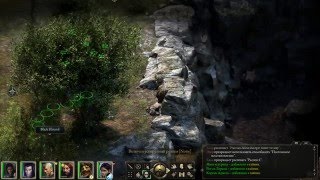 Pillars of Eternity (Прохождение) #20 - Мост Мадмр