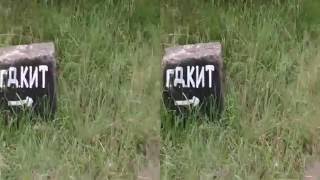 Детляжка. Вардане. Сочи. 3D. Вертикальная стереопара.