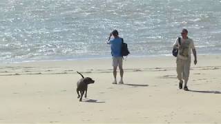 VACANCES en CHARENTE MARITIME