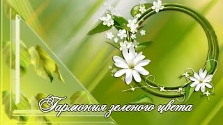 Гармония зеленого цвета
