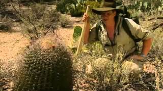 Extreme Survival  - The Arizona Desert - Part 2