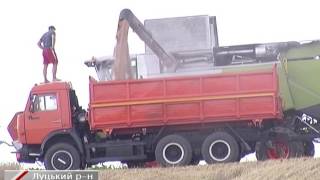 Жнива в СГПП "Рать" (липень 2017)