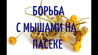 Средство борьбы с мышами на пасеке.