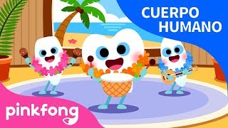Dientes | Cuerpo Humano | Pinkfong Canciones Infantiles