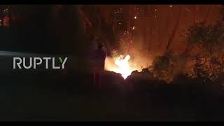 Turkey: Wildfires rage on in southern Osmaniye province as residents evacuate