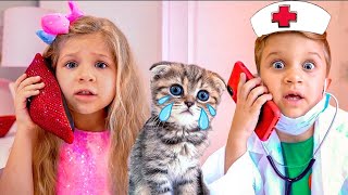 Diana dan Cerita tentang caramerawat kucing