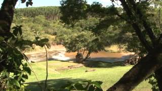 VOCÊ SABIA - FAZENDA PALMA