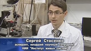 Postgraduate studies in Nizhniy Novgorod State University (UNN)