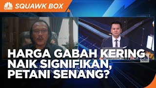 Harga Gabah Naik Signifikan, Efek Petani Enggan Tanam Padi?