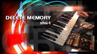 DELETE MEMORY / shu-t