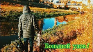 Поисковый магнит! Такого улова никто не ожидал!!!