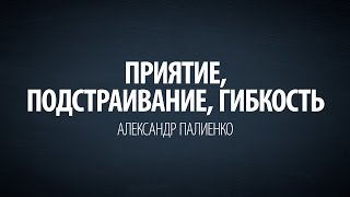 Приятие, подстраивание, гибкость. Александр Палиенко.