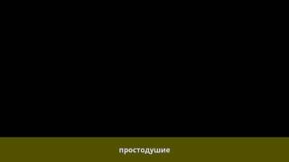 Аминов, Рим Файзрахманович - Биография
