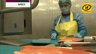 СП «Санта Бремор» снизило отпускные цены на свою продукцию до 22%