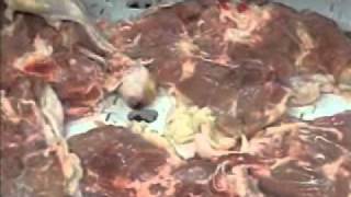 CFS-LT3 Whole Leg Deboning 2-08