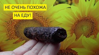 Заготовки на зиму. Томатная пастила идеальна для приготовления горячих блюд!