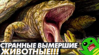 СТРАННЫЕ ВЫМЕРШИЕ ЖИВОТНЫЕ: змея с четырьмя ногами, лягушка-крокодил и новая попытка сухопутности